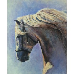 Рисуване по номера - Смирение, 40х50см