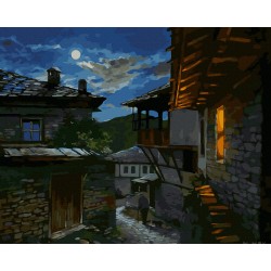 Рисуване по номера - Копнеж за луна, 40х50см