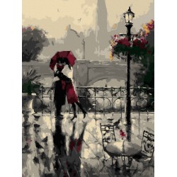 Рисуване по номера - Дъждовна среща, 30х40см