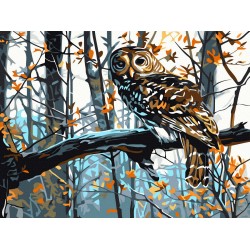 Рисуване по номера - Мъдра сова, 30х40см