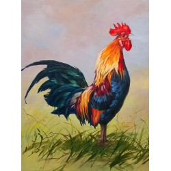 Рисуване по номера - Петел, 30х40см