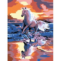 Рисуване по номера - Кон в морето, 30х40см