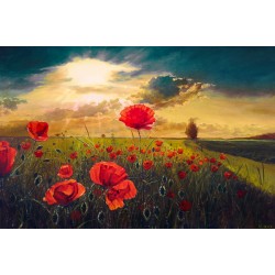 Рисуване по номера - Огнени макове, 40х60см