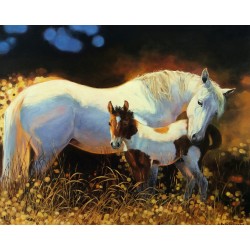 Рисуване по номера - Наследство, 40х50см